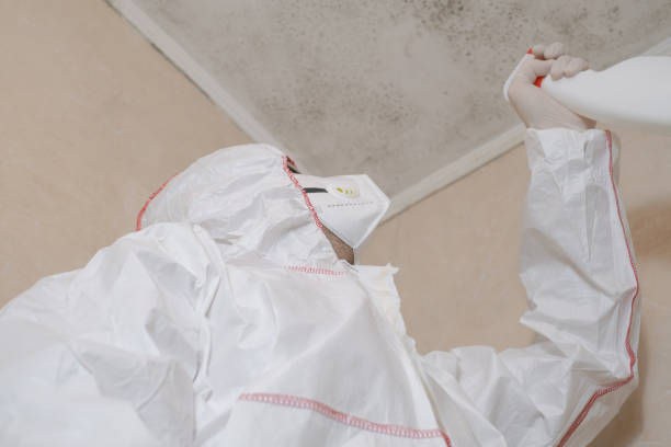 Best Residential Mold Removal  in Arbuckle, CA